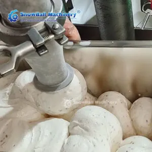 ice-cream-ingredient-feeder1 ice-cream-ingredient-feeder1